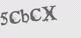 CAPTCHA code