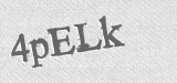 CAPTCHA code