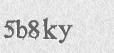 CAPTCHA code