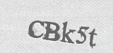 CAPTCHA code