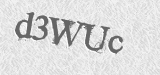 CAPTCHA code