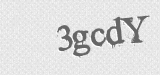 CAPTCHA code