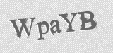 CAPTCHA code