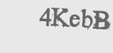CAPTCHA code