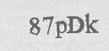 CAPTCHA code