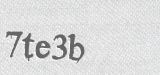 CAPTCHA code