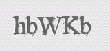 CAPTCHA code