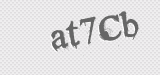 CAPTCHA code
