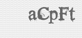 CAPTCHA code