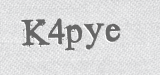 CAPTCHA code