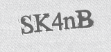 CAPTCHA code