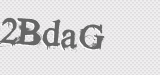 CAPTCHA code