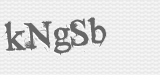 CAPTCHA code