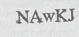 CAPTCHA code