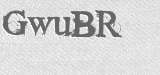 CAPTCHA code