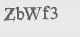 CAPTCHA code