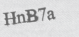 CAPTCHA code