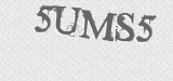 CAPTCHA code