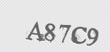 CAPTCHA code