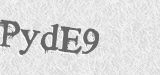 CAPTCHA code