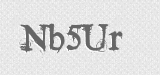 CAPTCHA code