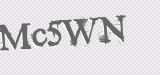 CAPTCHA code