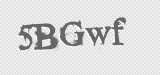 CAPTCHA code