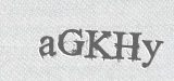 CAPTCHA code