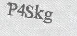 CAPTCHA code