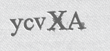 CAPTCHA code