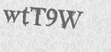 CAPTCHA code