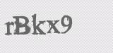 CAPTCHA code