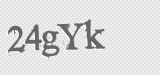 CAPTCHA code