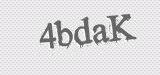 CAPTCHA code