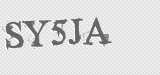 CAPTCHA code