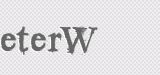 CAPTCHA code