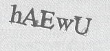 CAPTCHA code