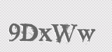 CAPTCHA code