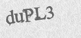 CAPTCHA code