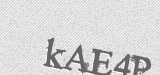 CAPTCHA code