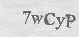 CAPTCHA code