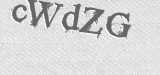 CAPTCHA code