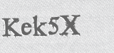 CAPTCHA code