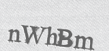 CAPTCHA code