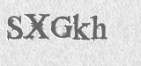 CAPTCHA code