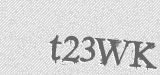 CAPTCHA code