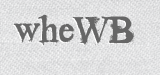 CAPTCHA code