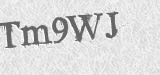 CAPTCHA code
