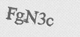 CAPTCHA code