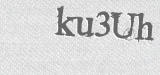 CAPTCHA code
